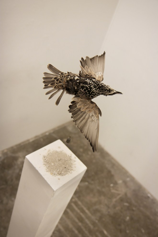 s'il vous plait ne pas siffler