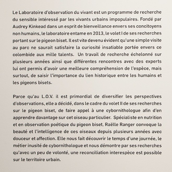 ak_Rencontre_détail